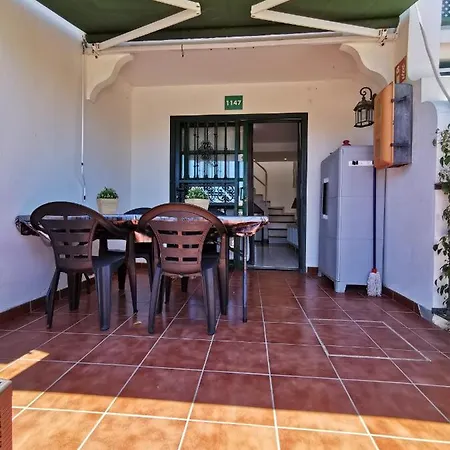 Dunaflor Verde *
